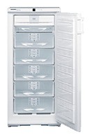 Холодильник Liebherr GSN 2423 фото, Характеристики