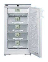 Холодильник Liebherr GSNP 2026 Фото, характеристики