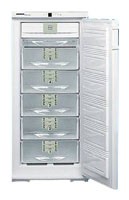 Refrigerator Liebherr GSNP 2426 larawan, katangian
