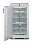 Kühlschrank Liebherr GSP 2226 66.00x125.00x68.30 cm