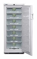 Refrigerator Liebherr GSP 3126 larawan, katangian