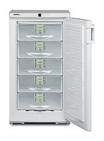 Холодильник Liebherr GSS 2226 фото, Характеристики