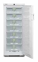 Refrigerator Liebherr GSS 3126 larawan, katangian