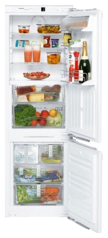 Buzdolabı Liebherr ICB 3066 fotoğraf, özellikleri