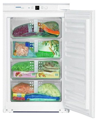 Tủ lạnh Liebherr IGS 1101 ảnh, đặc điểm