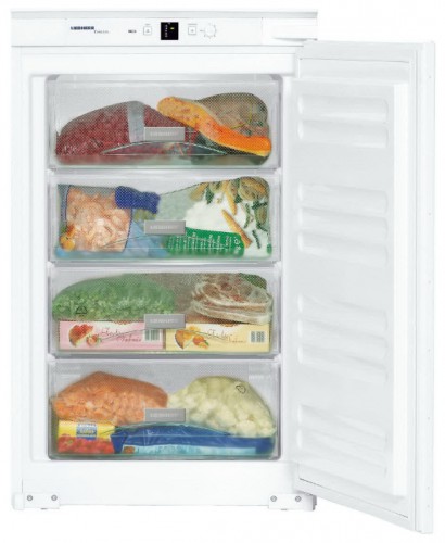 Refrigerator Liebherr IGS 1113 larawan, katangian