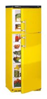 Buzdolabı Liebherr KDge 3142 fotoğraf, özellikleri