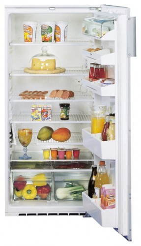 Ψυγείο Liebherr KE 2510 φωτογραφία, χαρακτηριστικά