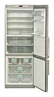 Refrigerator Liebherr KGBNes 5056 larawan, katangian