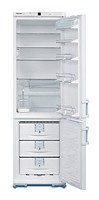 Refrigerator Liebherr KGT 4066 larawan, katangian