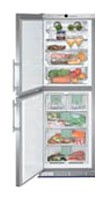 Buzdolabı Liebherr SBNes 2900 fotoğraf, özellikleri