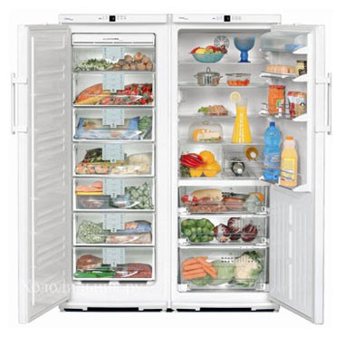 Холодильник Liebherr SBS 6102 фото, Характеристики
