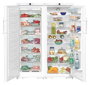 Холодильник Liebherr SBS 6302 Фото, характеристики