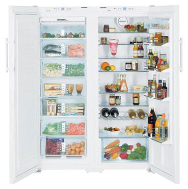 Refrigerator Liebherr SBS 6352 larawan, katangian
