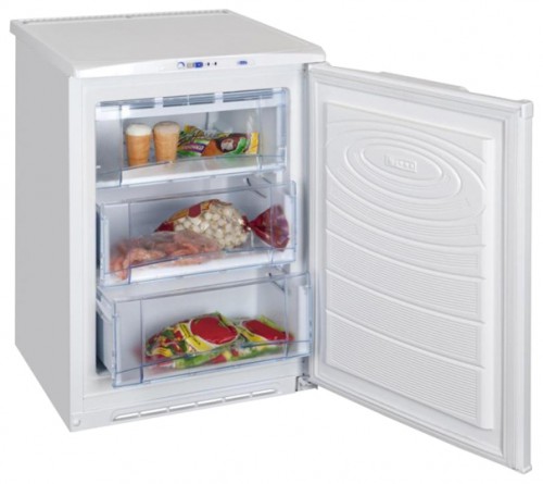 Холодильник NORD 101-010 фото, Характеристики