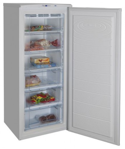 Refrigerator NORD 155-3-410 larawan, katangian