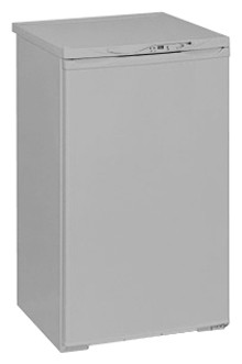 Refrigerator NORD 161-410 larawan, katangian