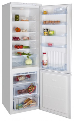 Kühlschrank NORD 183-7-020 Foto, Charakteristik
