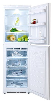 Refrigerator NORD 219-7-110 larawan, katangian