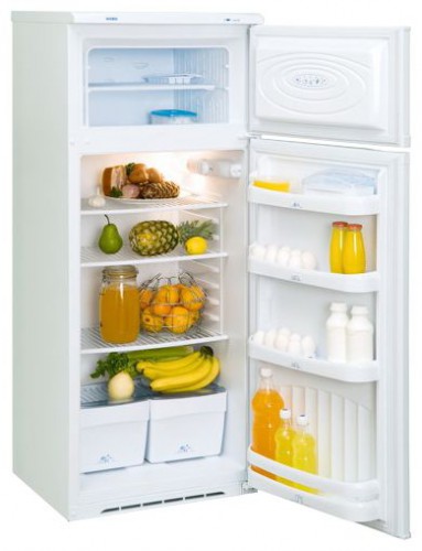 Refrigerator NORD 241-010 larawan, katangian