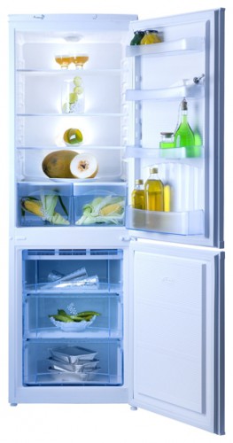 Kühlschrank NORD ERB 300-012 Foto, Charakteristik
