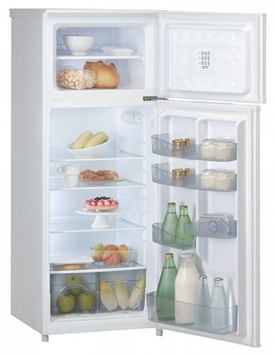 Холодильник Polar PTM 170 Фото, характеристики