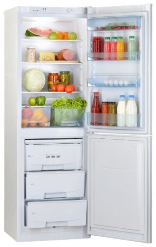Refrigerator Pozis RK-139 larawan, katangian