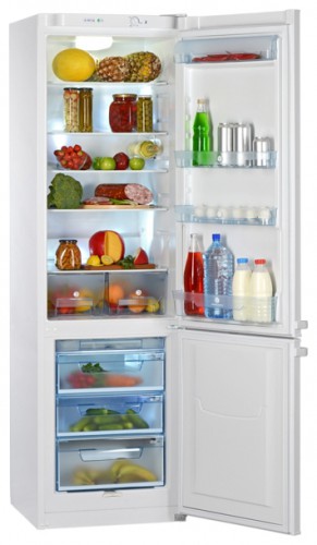 Refrigerator Pozis RK-233 larawan, katangian