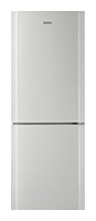 Køleskab Samsung RL-24 FCSW Foto, Egenskaber