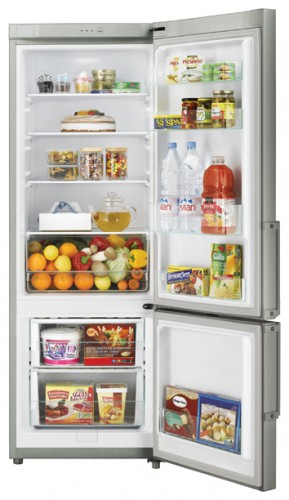 Refrigerator Samsung RL-29 THCMG larawan, katangian