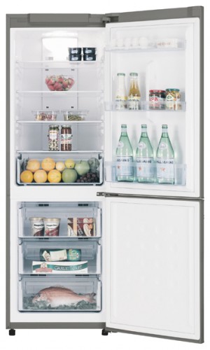 Kjøleskap Samsung RL-40 ECMG Bilde, kjennetegn