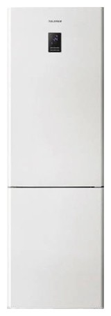 Buzdolabı Samsung RL-40 ECSW fotoğraf, özellikleri