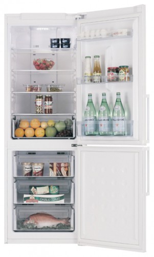 Kühlschrank Samsung RL-40 HGSW Foto, Charakteristik