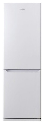 Kühlschrank Samsung RL-41 SBSW Foto, Charakteristik