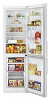 Kühlschrank Samsung RL-43 THCSW Foto, Charakteristik