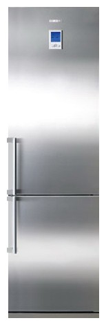 Kjøleskap Samsung RL-44 QEPS Bilde, kjennetegn