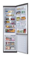Kühlschrank Samsung RL-52 VEBIH Foto, Charakteristik