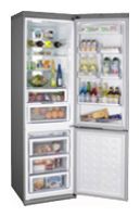 Buzdolabı Samsung RL-55 VGBIH fotoğraf, özellikleri