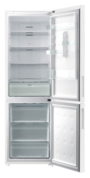 Refrigerator Samsung RL-56 GSBSW larawan, katangian