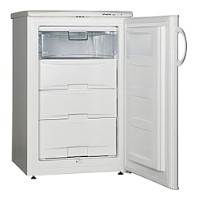 Холодильник Snaige F100-1101A фото, Характеристики