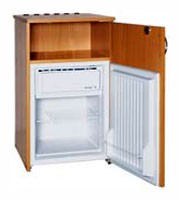 Refrigerator Snaige R60.0412 larawan, katangian