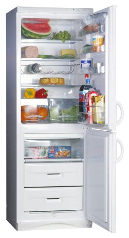 Buzdolabı Snaige RF310-1803A fotoğraf, özellikleri