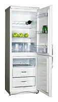 Refrigerator Snaige RF310-1T03A larawan, katangian