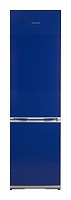 Refrigerator Snaige RF31SH-S1BA01 larawan, katangian