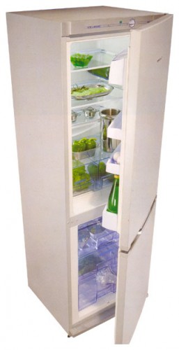 Kühlschrank Snaige RF31SM-S10001 Foto, Charakteristik