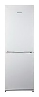 Refrigerator Snaige RF31SM-S10021 larawan, katangian