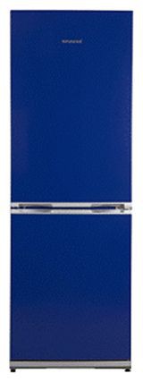 Kühlschrank Snaige RF31SM-S1BA01 Foto, Charakteristik