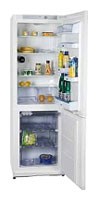 Refrigerator Snaige RF34SH-S10001 larawan, katangian