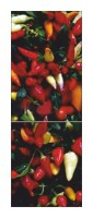Холодильник Snaige RF34SM-S10021 34-26 Фото, характеристики