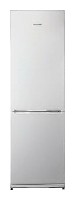 Tủ lạnh Snaige RF35SM-S10021 ảnh, đặc điểm